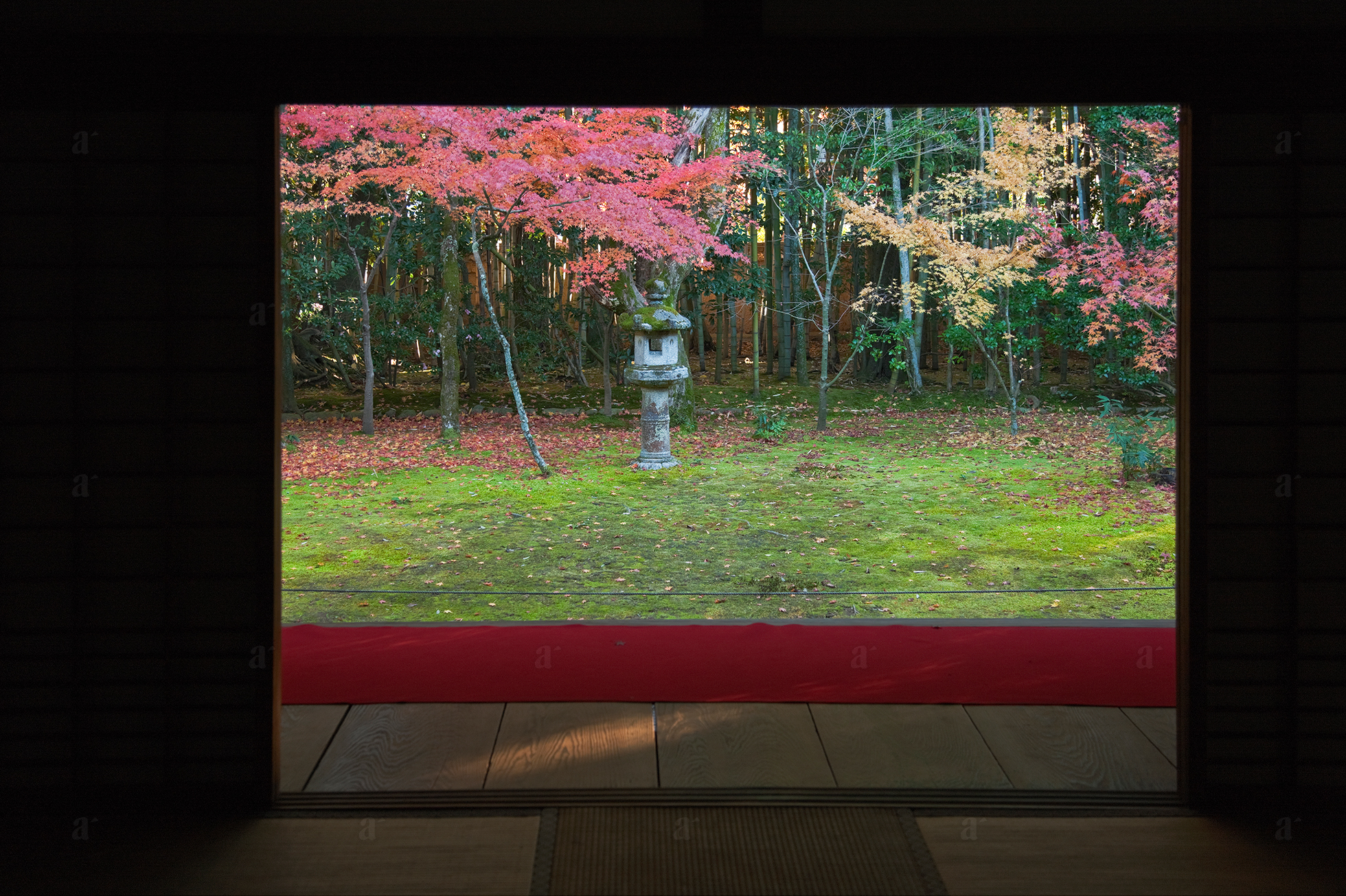 ベン・シモンズ &ldquo;高桐院　京都&rdquo; Ben Simmons &ldquo;Koto-in, Kyoto&rdquo;